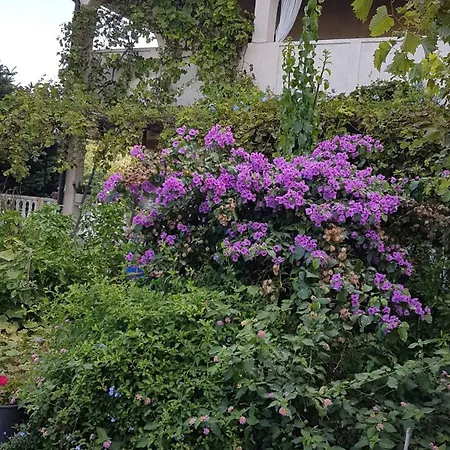 Apartmán In With Two-bedrooms 2 Lopar